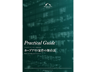 ホワイトペーパー、レポート02「実践ガイド：カーブアウト案件の舞台裏」